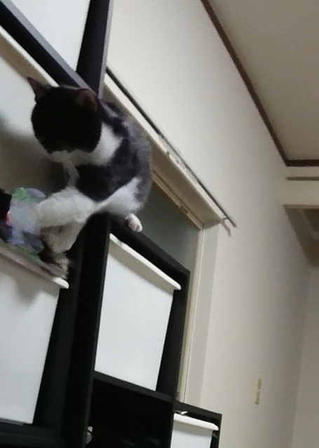 20180330221751194.jpg