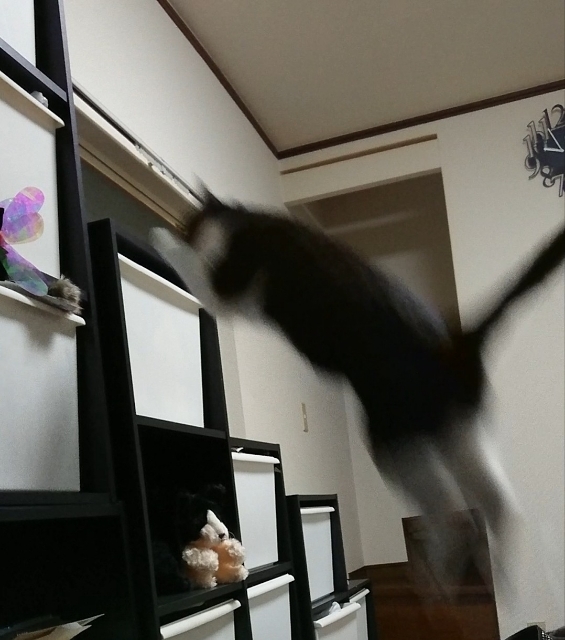 20180330224138942.jpg