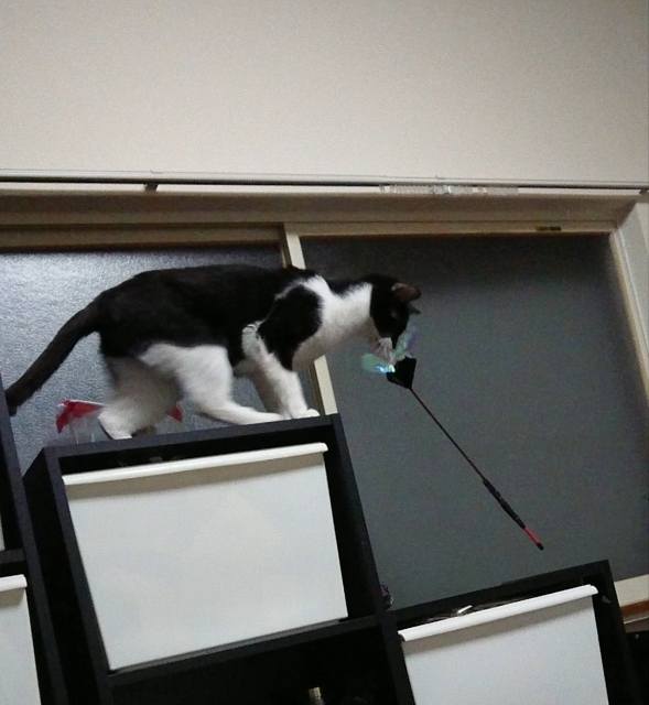 20180330224148997.jpg