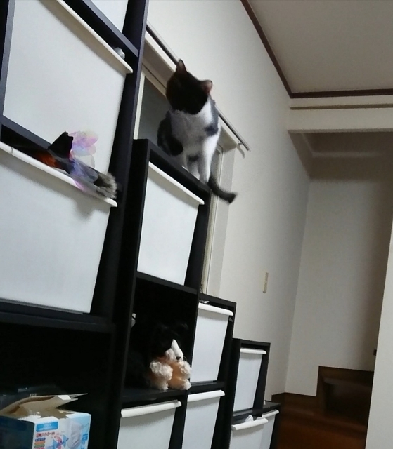 20180330225910535.jpg