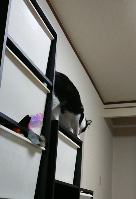 20180330230013048.jpg