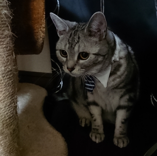 20180401202744450.jpg