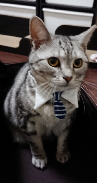 20180402090400327.jpg