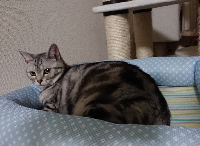 20180430234112255.jpg