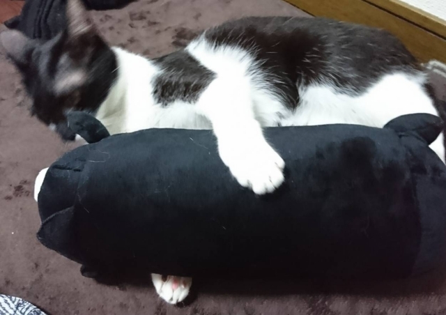 20180501120109883.jpg