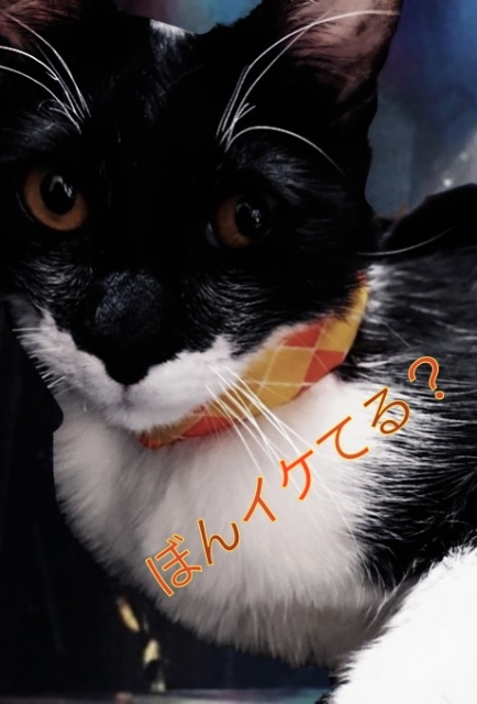20180502172625222.jpg
