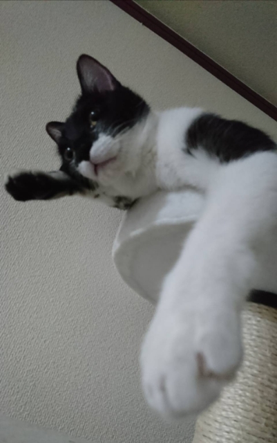 20180502233121789.jpg