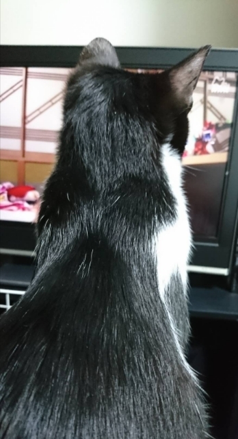 20180503211158516.jpg