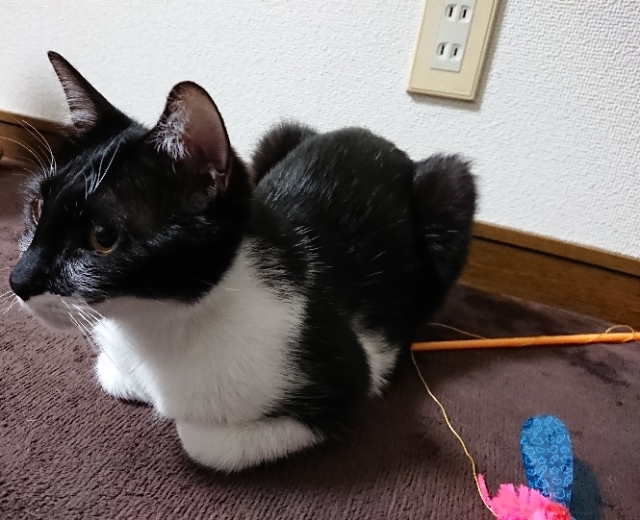 20180503212654894.jpg