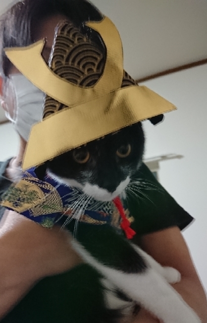 20180504190542599.jpg