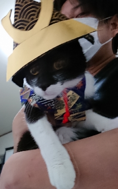 20180504190916946.jpg
