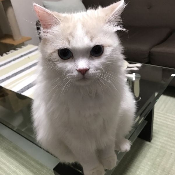20180504195607532.jpg