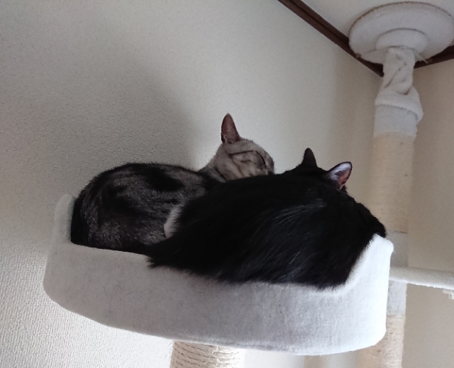 20180505113031098.jpg