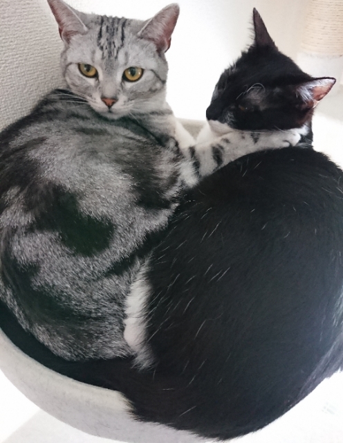 20180505113044016.jpg