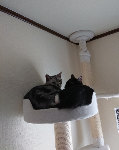 20180505113152973.jpg