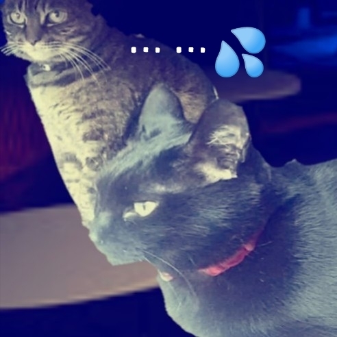 20180505145002094.jpg