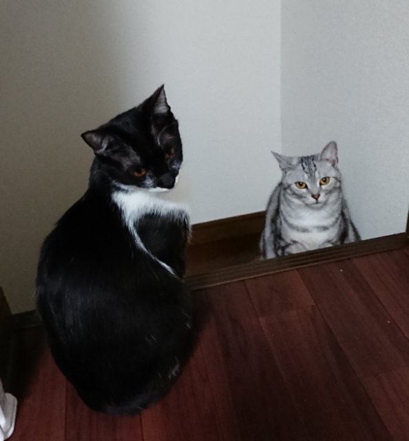 20180511140833236.jpg