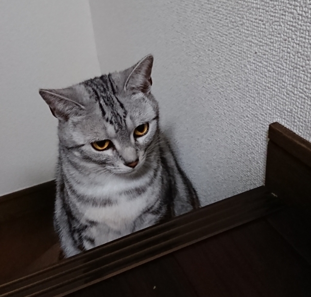 20180511215632391.jpg