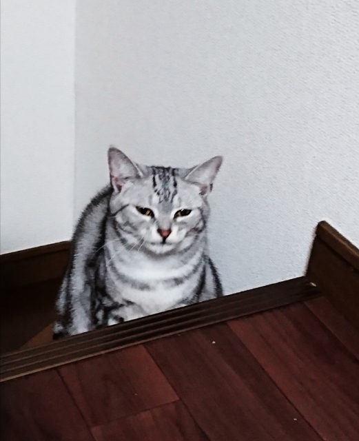 20180511215917490.jpg