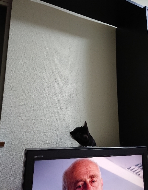 20180514120431287.jpg