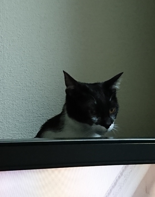 20180514120601946.jpg