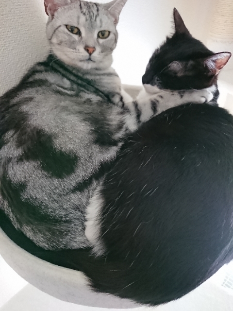 20180516083844056.jpg