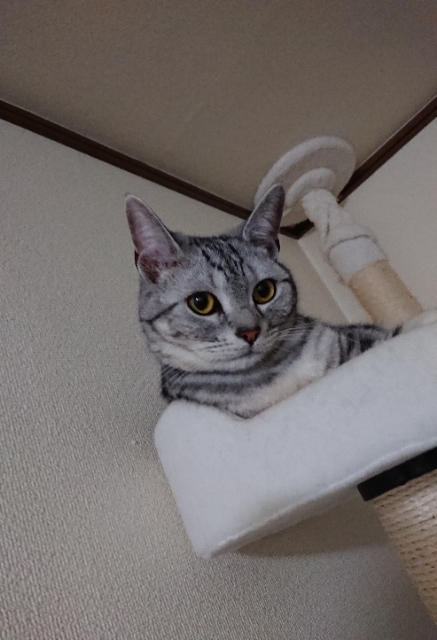 20180519081121293.jpg
