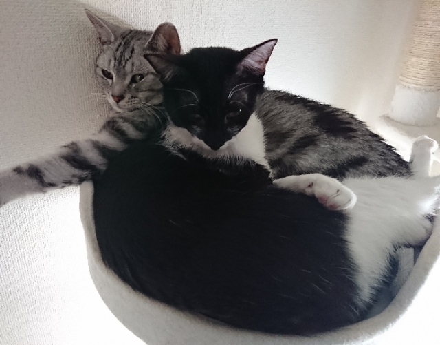 20180519081155428.jpg