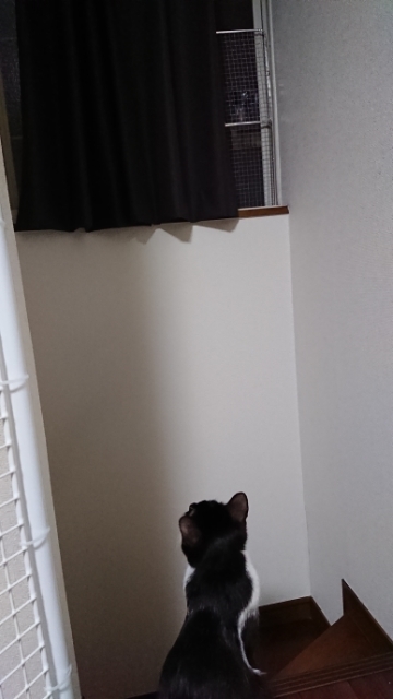 20180519081819929.jpg