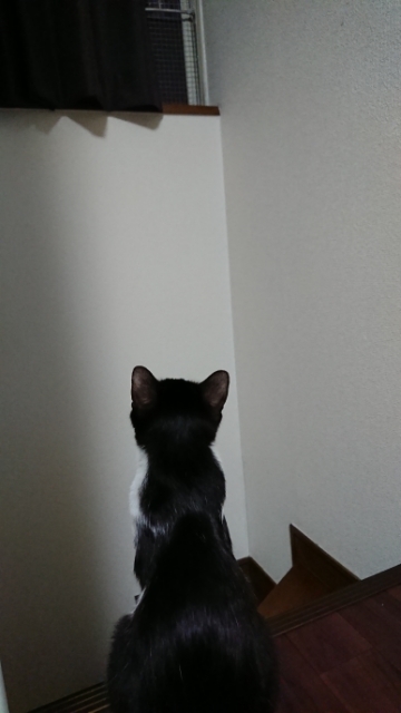 20180519081904851.jpg