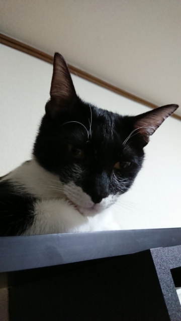 20180524205933881.jpg