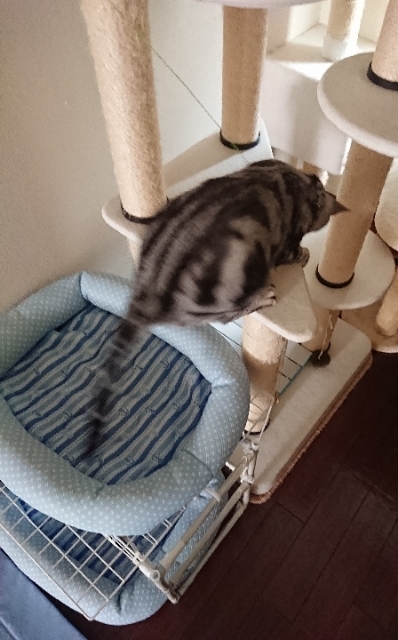 20180717092600191.jpg