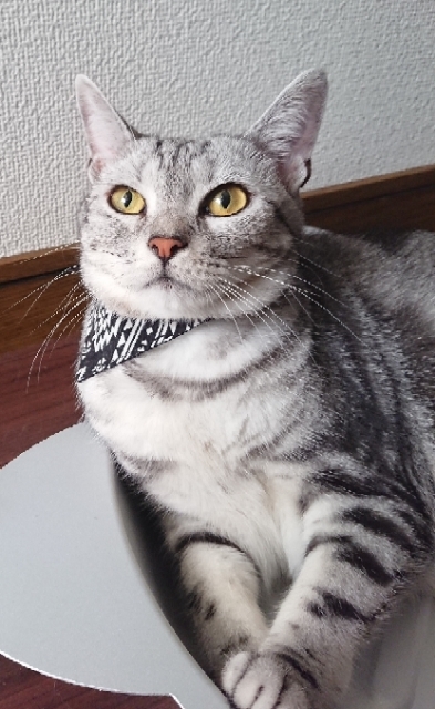 20180717093434494.jpg