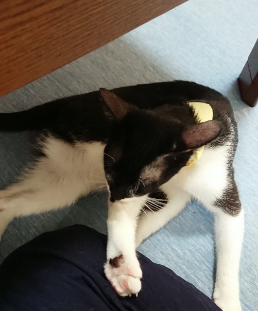 20180718071610918.jpg