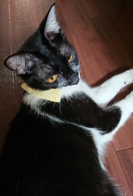 20180718071616508.jpg