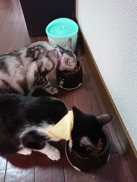 20180718131225622.jpg