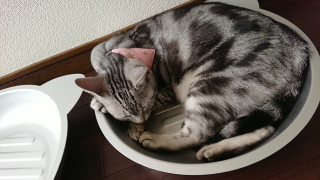 20180719075753484.jpg