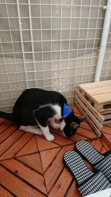 20180719075859957.jpg