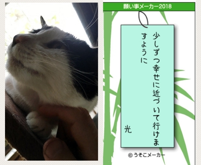 20180720191845170.jpg