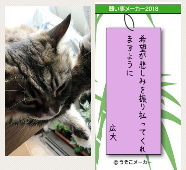20180720191851407.jpg