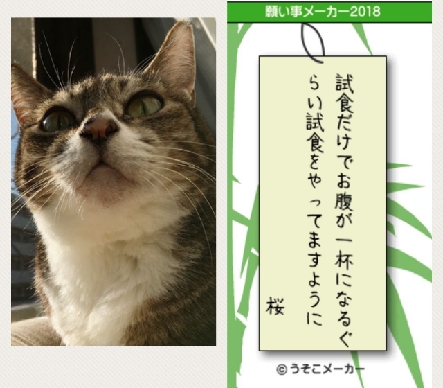20180720191856969.jpg