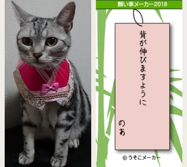 20180720194242361.jpg