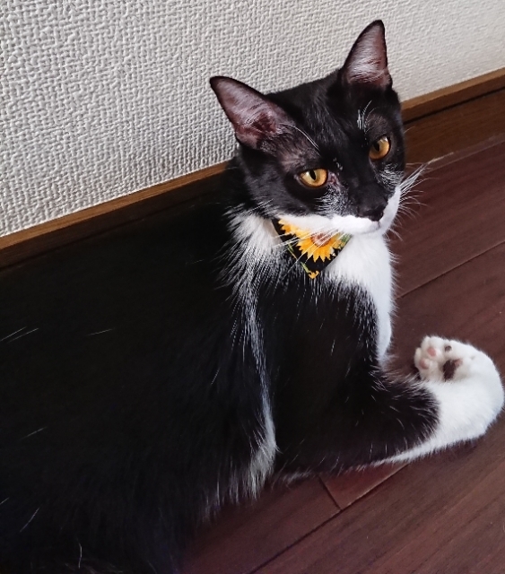 20180721072952814.jpg