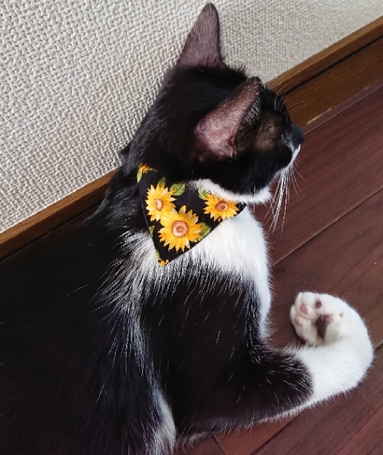 20180721073005432.jpg