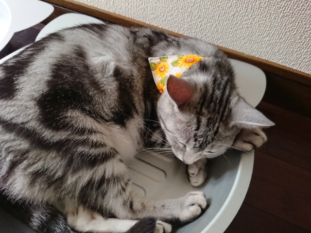 20180721073039685.jpg