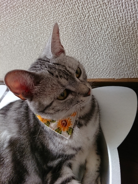 20180721082027050.jpg