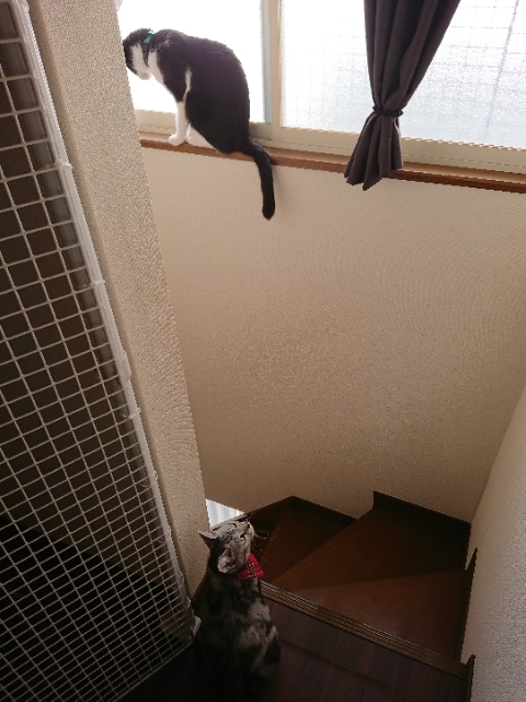 20180722094644368.jpg