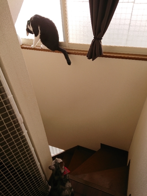 20180722095147929.jpg