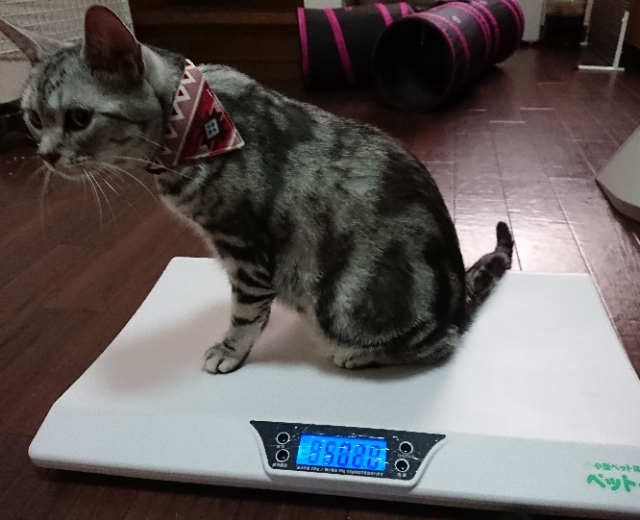 20180723065319869.jpg