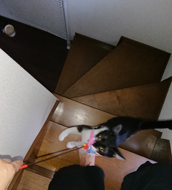 20180724161541101.jpg
